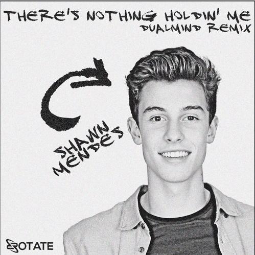 There's Nothing Holdin Me Back (Dualmind Remix)