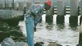 Sea Sick专辑