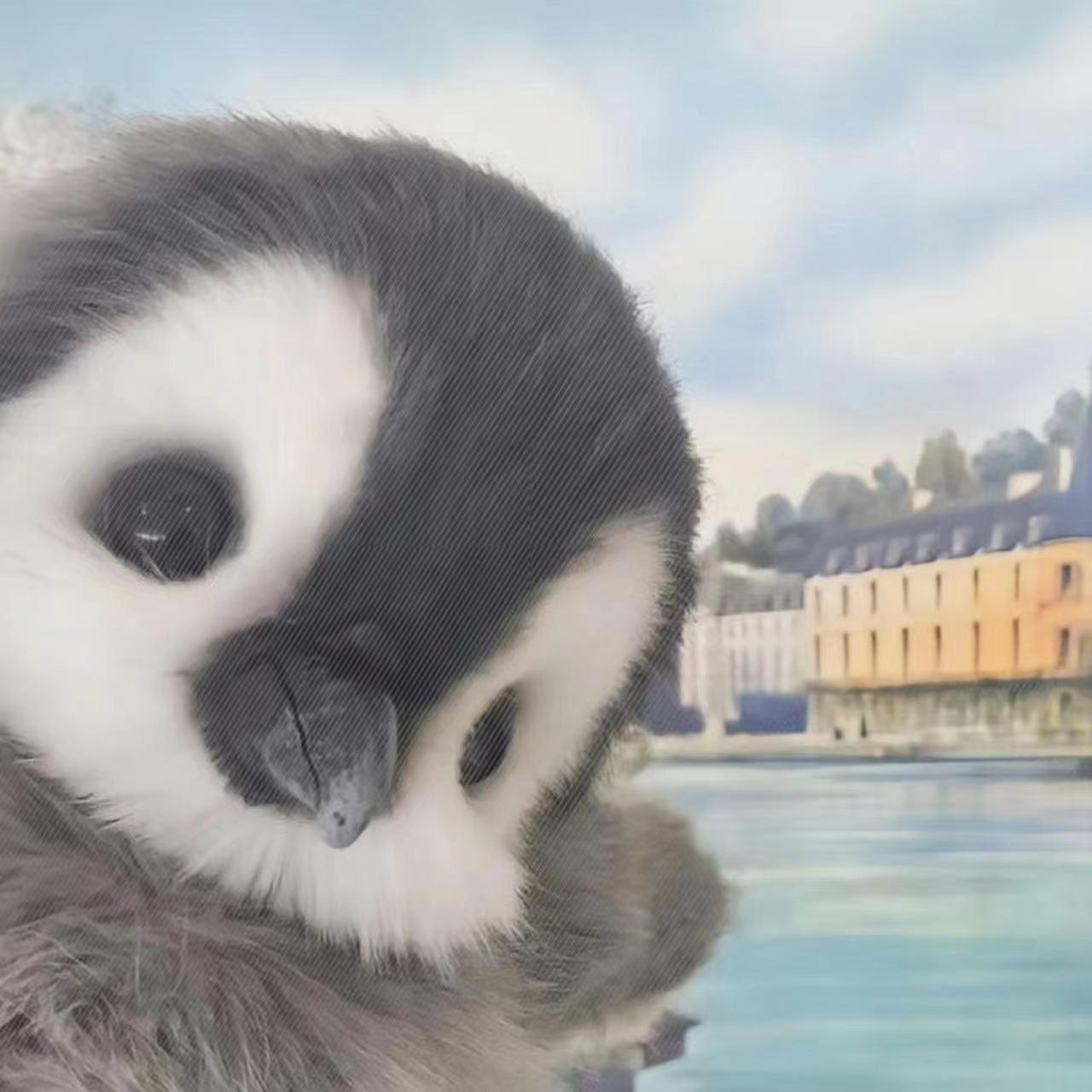2022翻唱