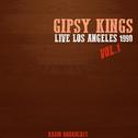 Gipsy Kings Live los Angeles 1990, Vol. 1专辑