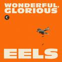 Wonderful, Glorious (Deluxe Version)专辑