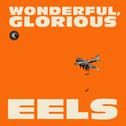 Wonderful, Glorious (Deluxe Version)专辑