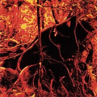 II