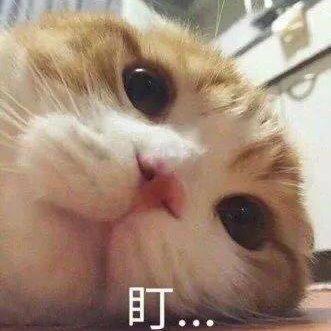 平静安静舒缓小众纯音乐