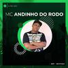 MC Andinho do Rodo - Ta Ritmado