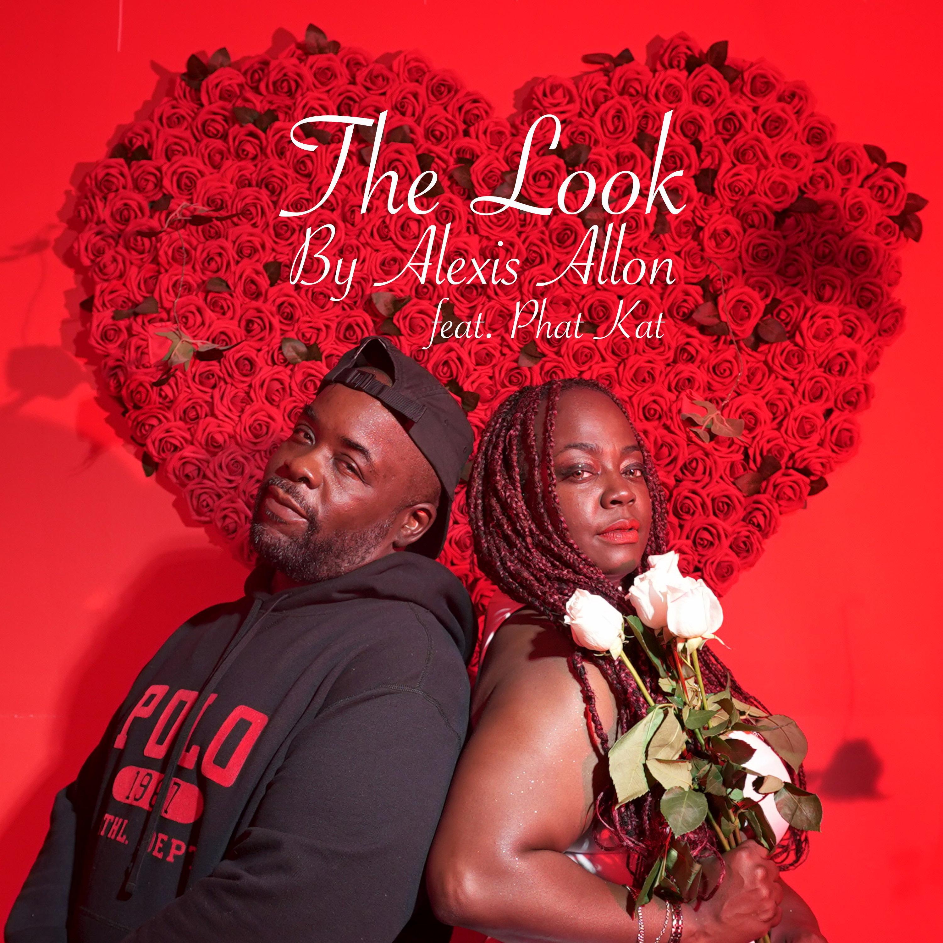 The Look (feat. Phat Kat) [Single Version]