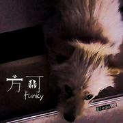 方可 (Funky)