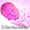 23 Storm Room Neutraliser