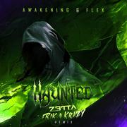 Haunted (Zetta & Frik 'N Krazy Remix)