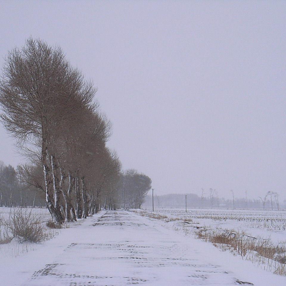 菲律宾没有雪