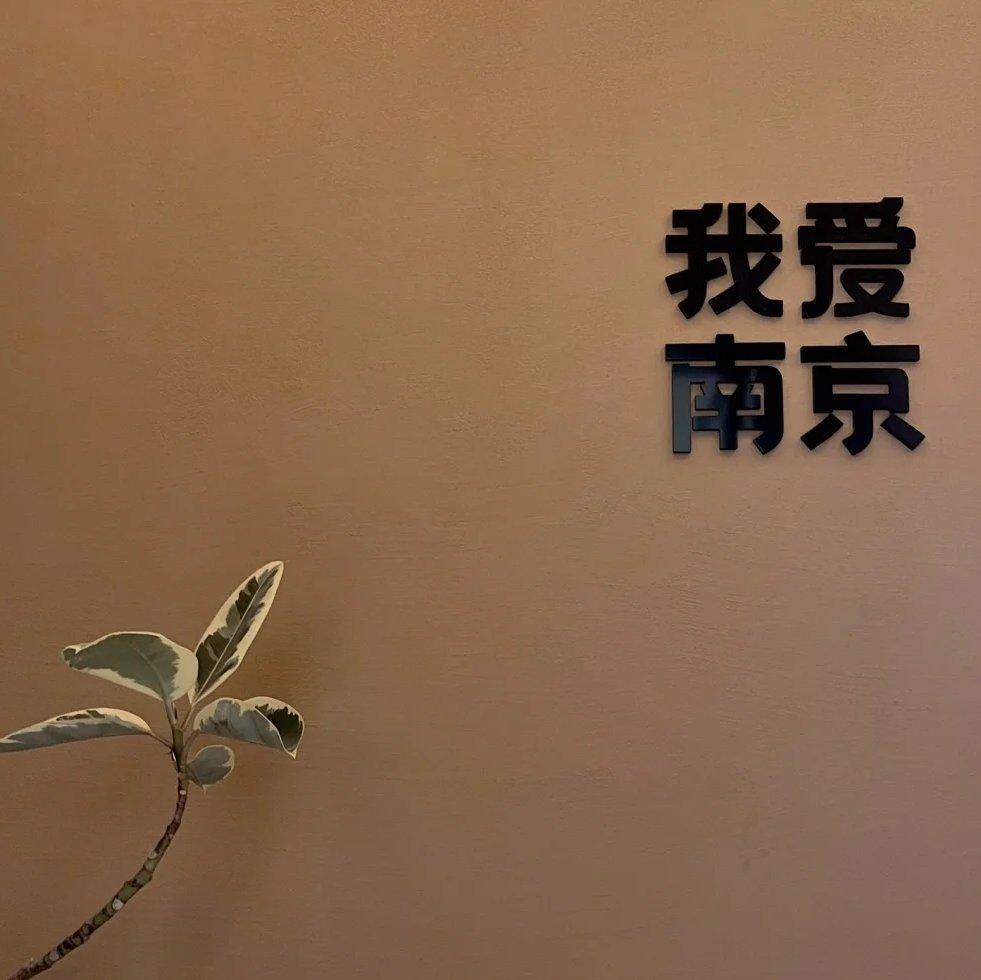 南京李市民作品翻唱收录/我爱南京