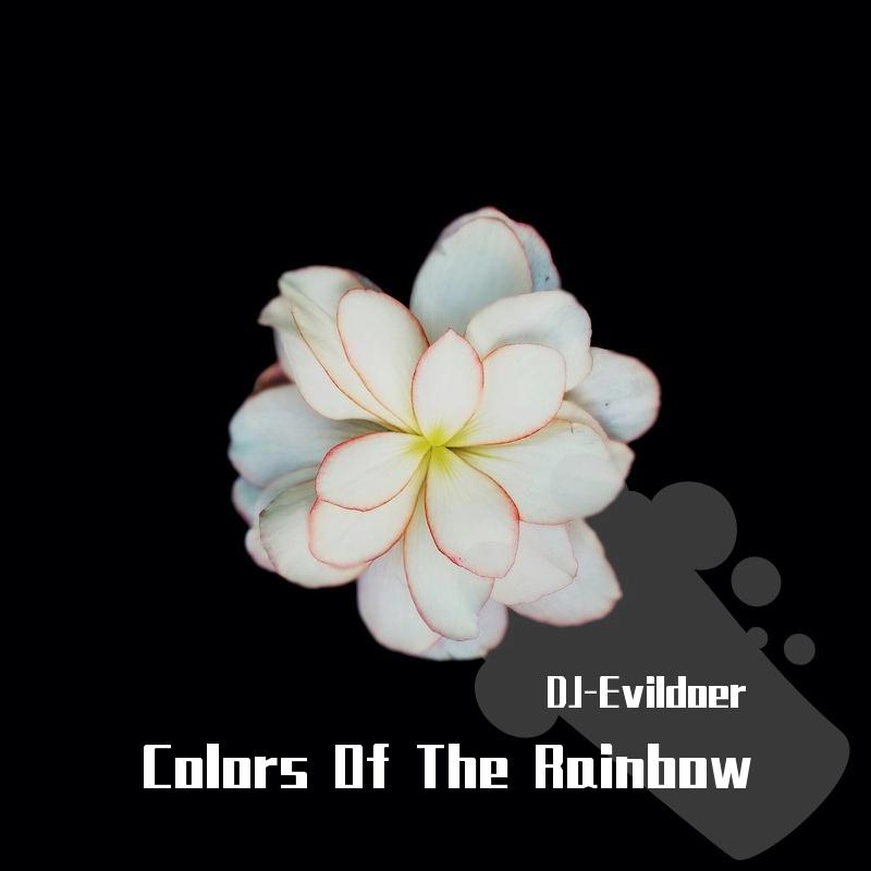 Sevenn-Colors Of The Rainbow(DJ-Evildoer remix)