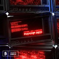 Shockone & Nct Ft. Scrufizzer - Rockstar Bass 87