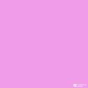 粉色气泡专辑