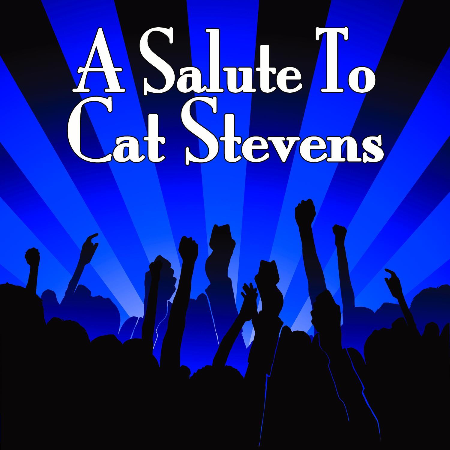 wild world (made famous by cat stevens) - the folk heroes - 单曲