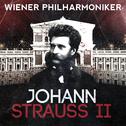 Wiener Philharmoniker: Johann Strauss II专辑
