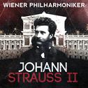 Wiener Philharmoniker: Johann Strauss II