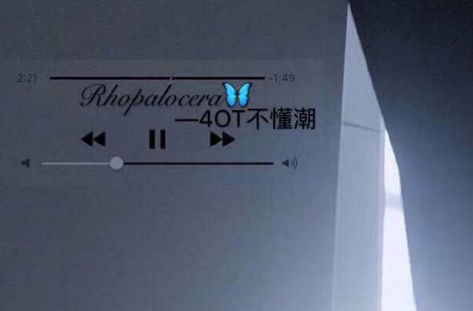 Rhopalocera专辑