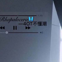 Rhopalocera专辑