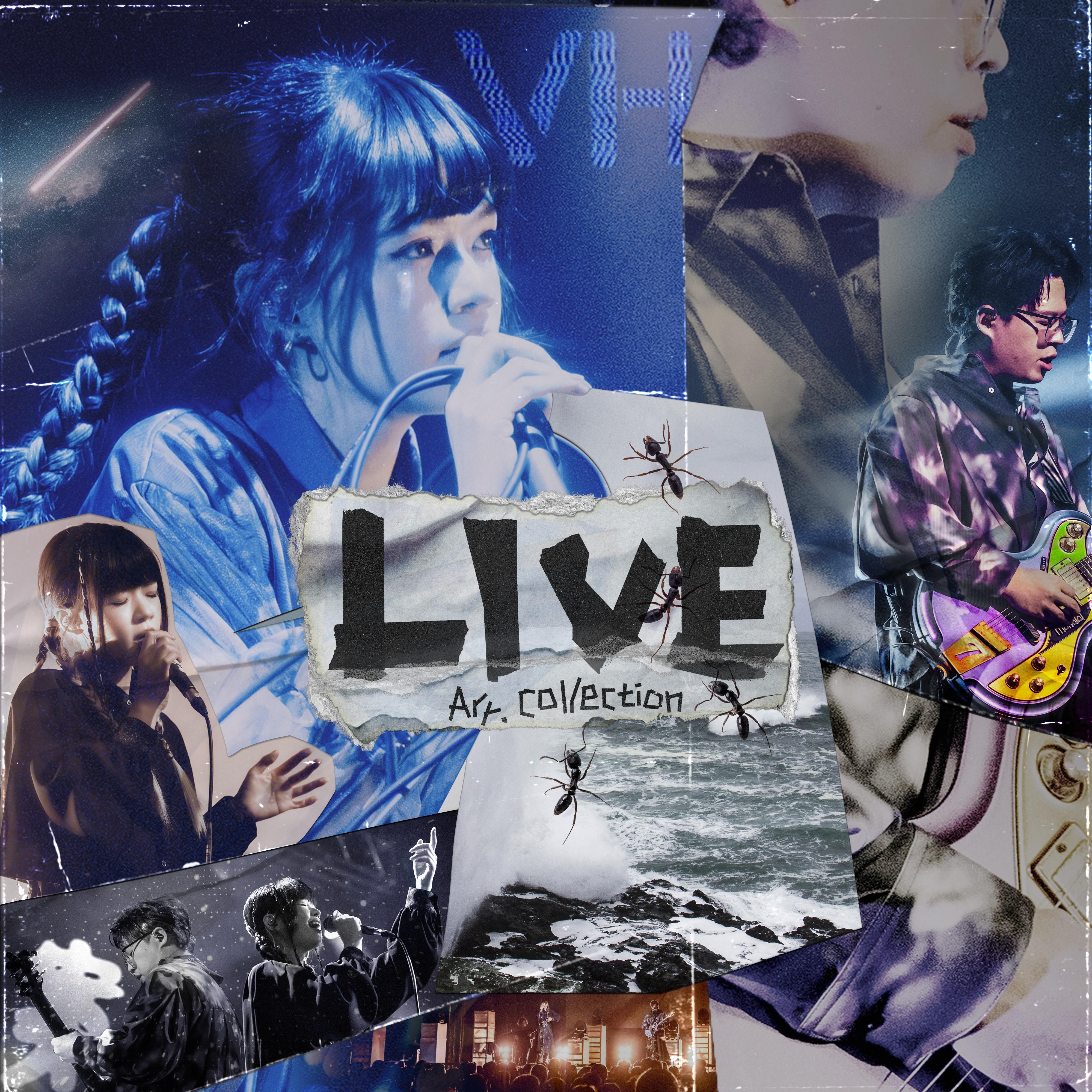 LIVE Arr. Collection专辑