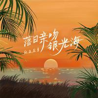 皮卡丘多多-落日亲吻银光海原唱