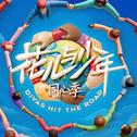 花儿与少年专辑