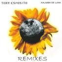 Kalimba de Luna - Remixes专辑
