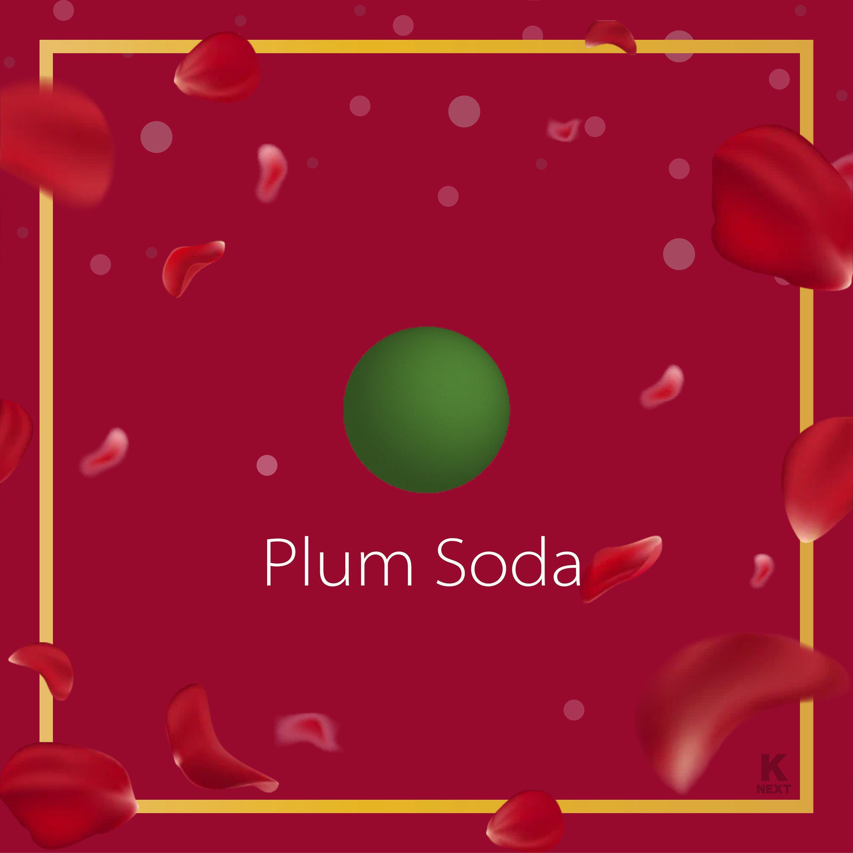 Plum Soda (Dyako Remix)