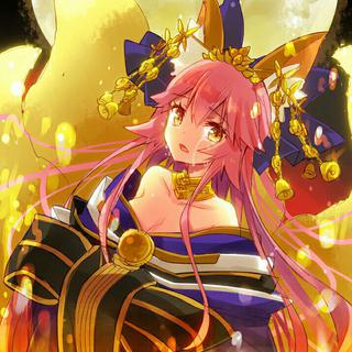 吾之命运（Fate），于山巅闪耀！