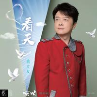 翁立友 - 无情风