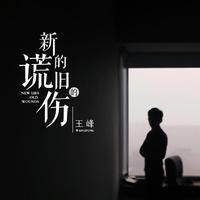 王峰-新的谎旧的伤(DJ默涵版)