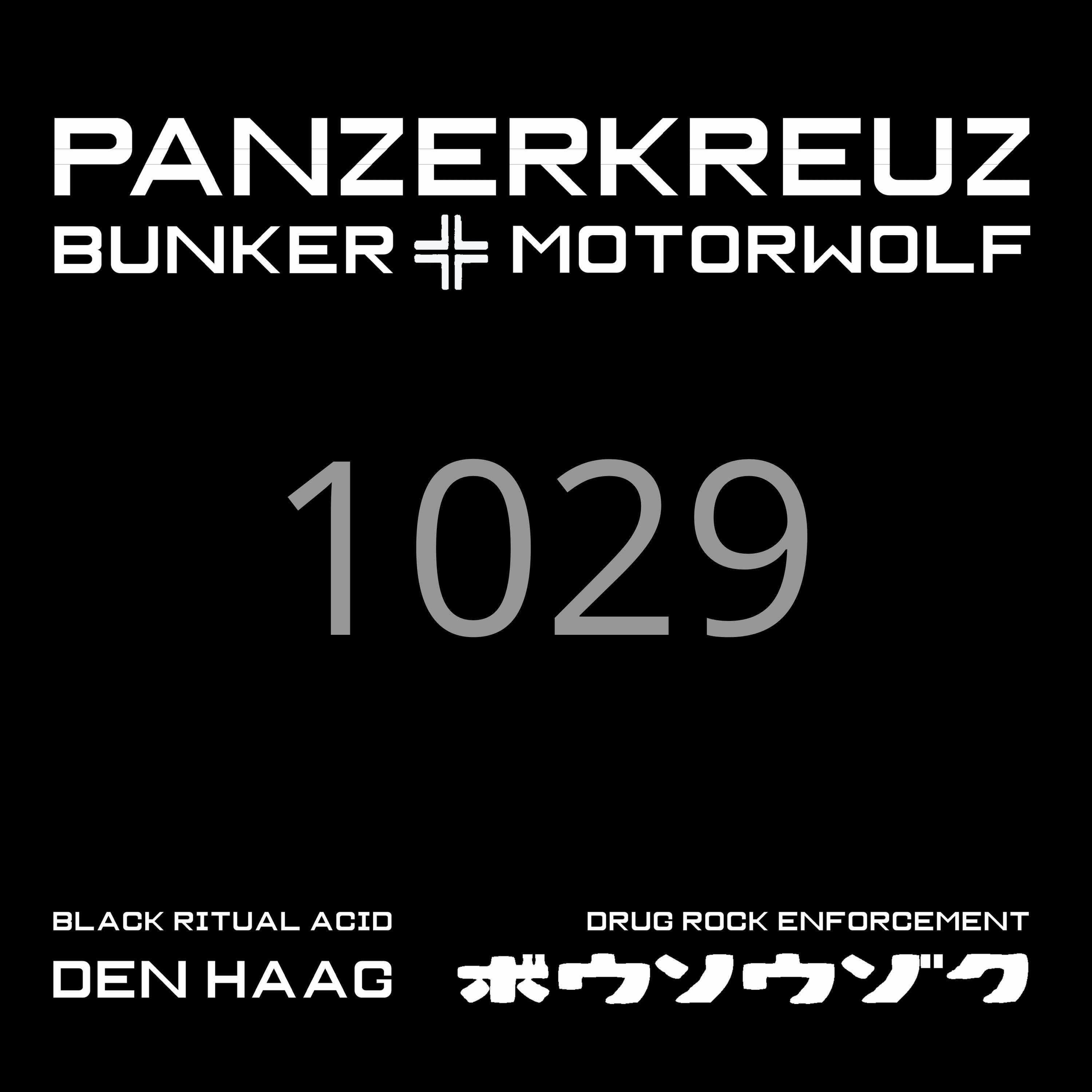 Panzerkreuz 1029