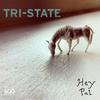 tri-state - The World Without Us