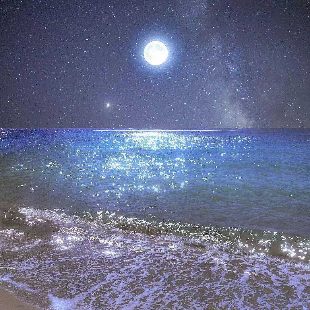 月 光 随 想