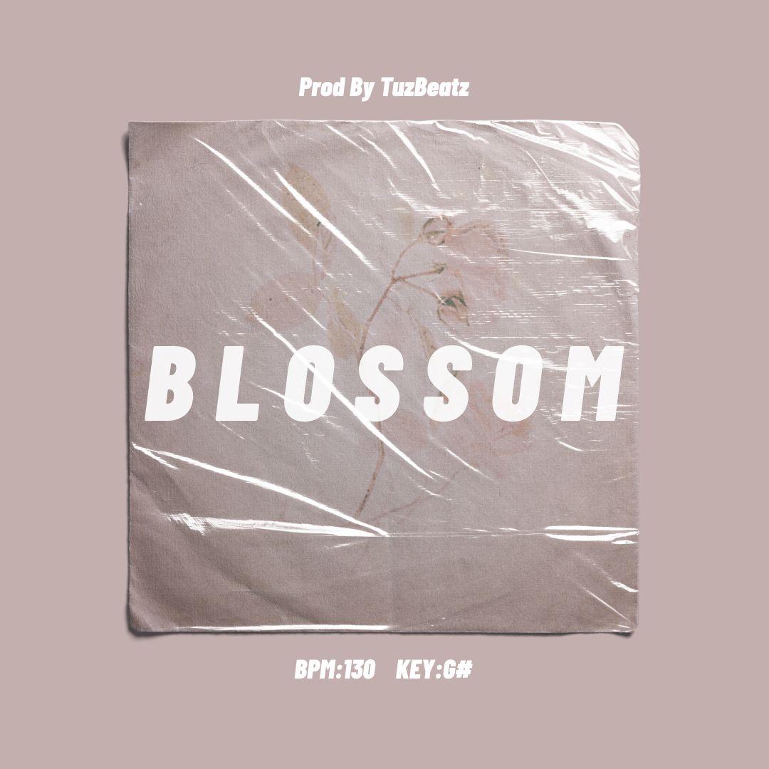 [Free] R&B Sik-K/pH-1 Type Beat "Blossom"