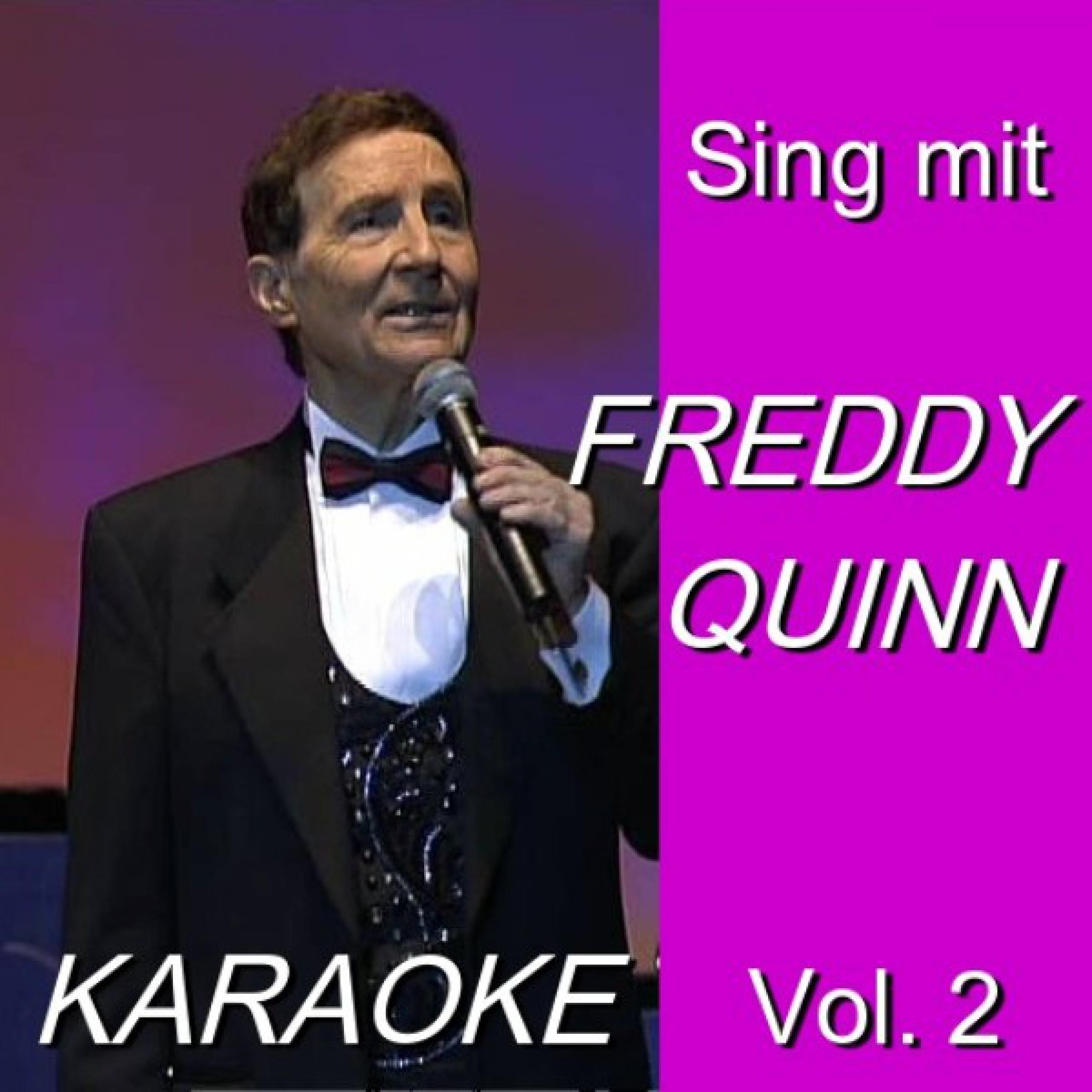 Karaoke - Sing Mit Freddy Quinn Vol. 2