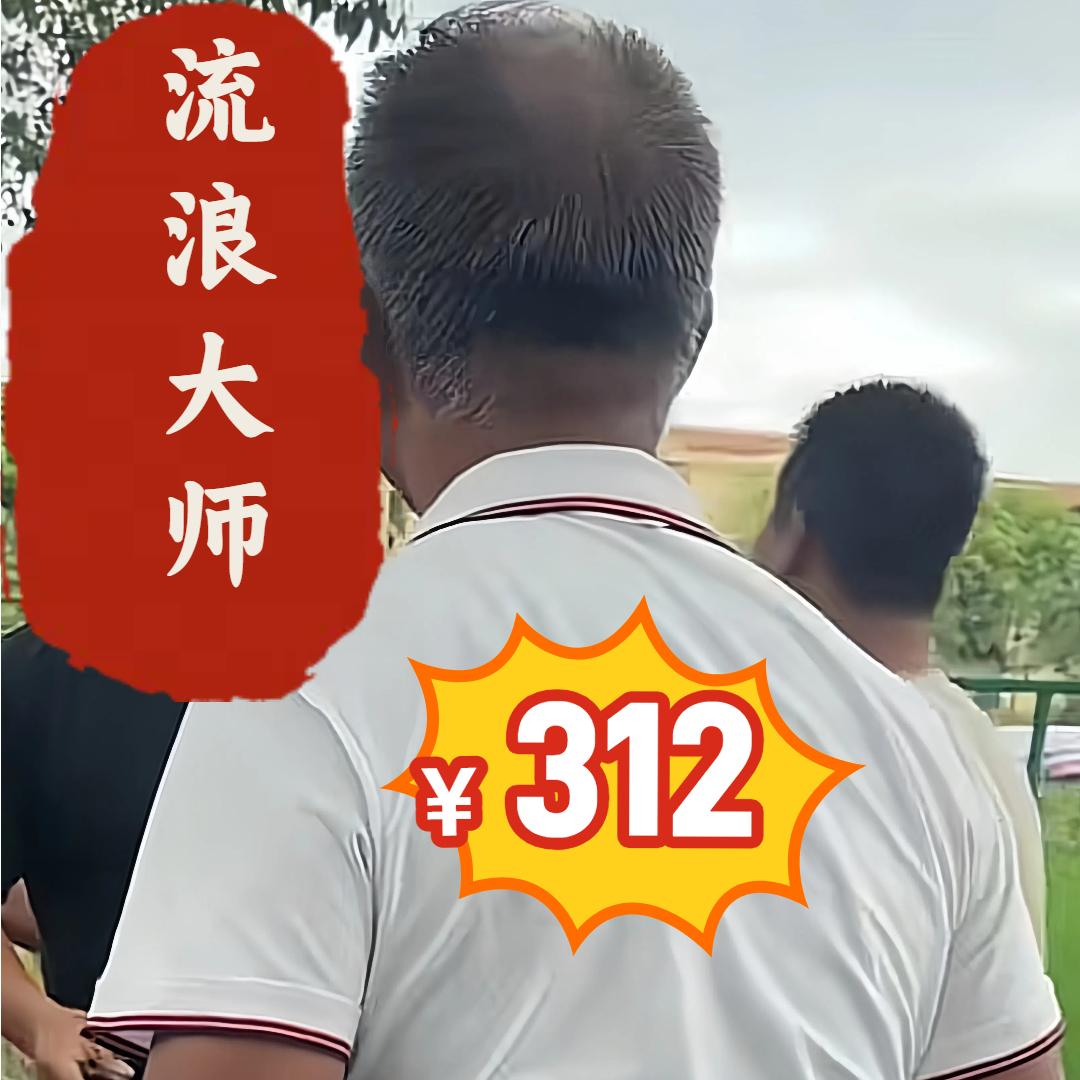 流浪的大湿（沈大师公益主题曲）