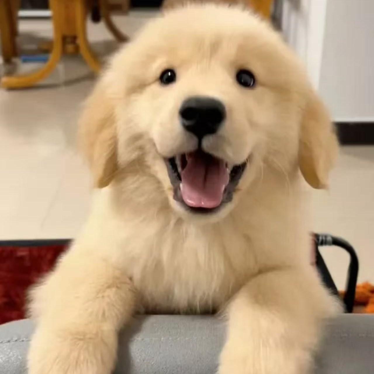 不要忘记我爱你 张碧晨