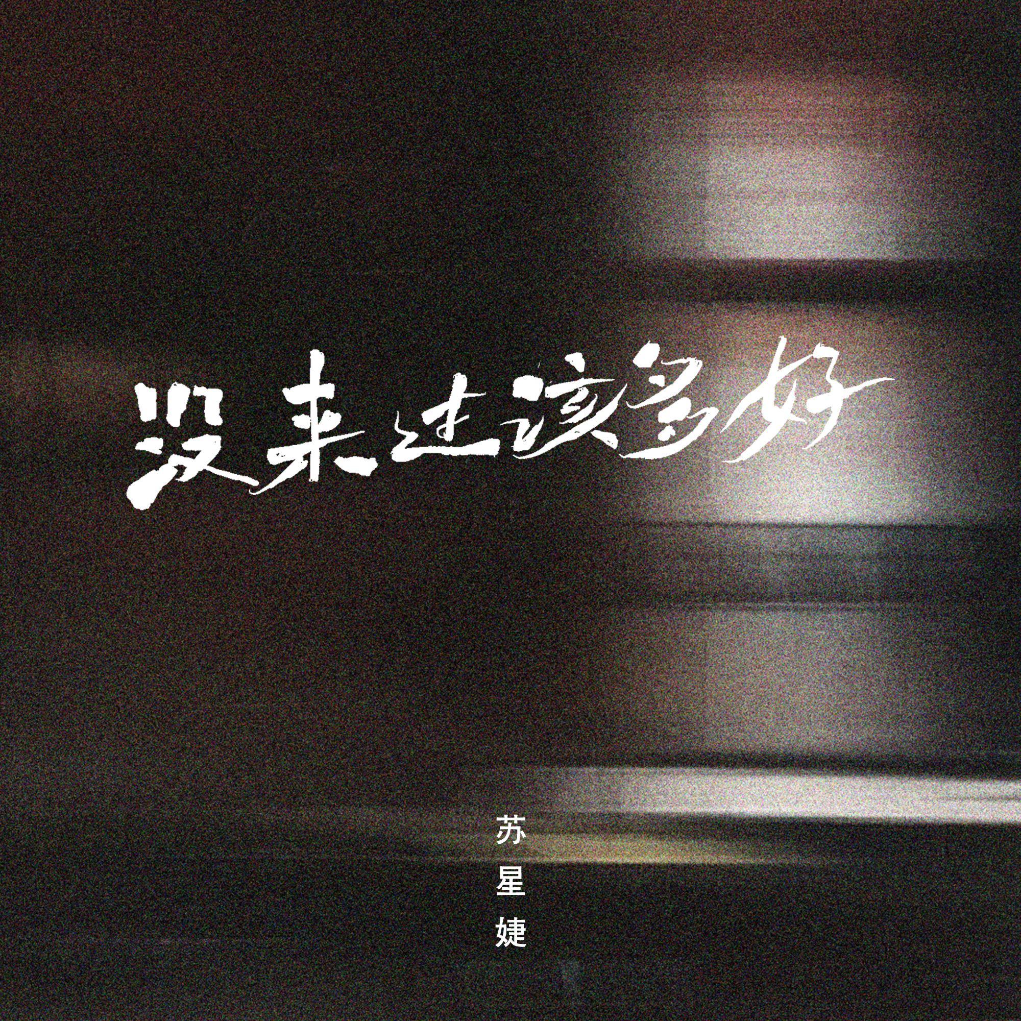 没来过该多好 (0.8x)