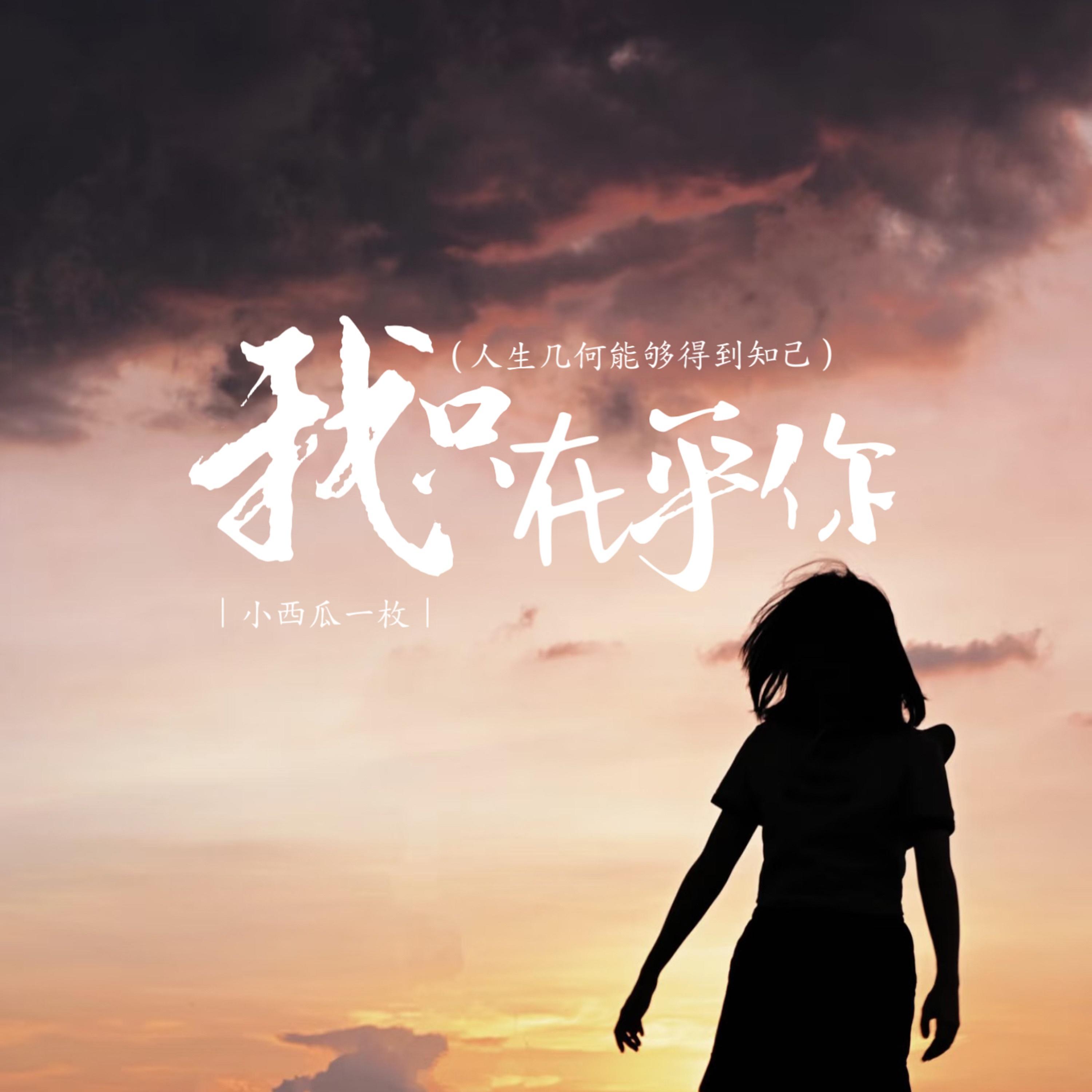 我只在乎你 (人生几何能够得到知己)