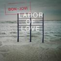 Labor of Love专辑