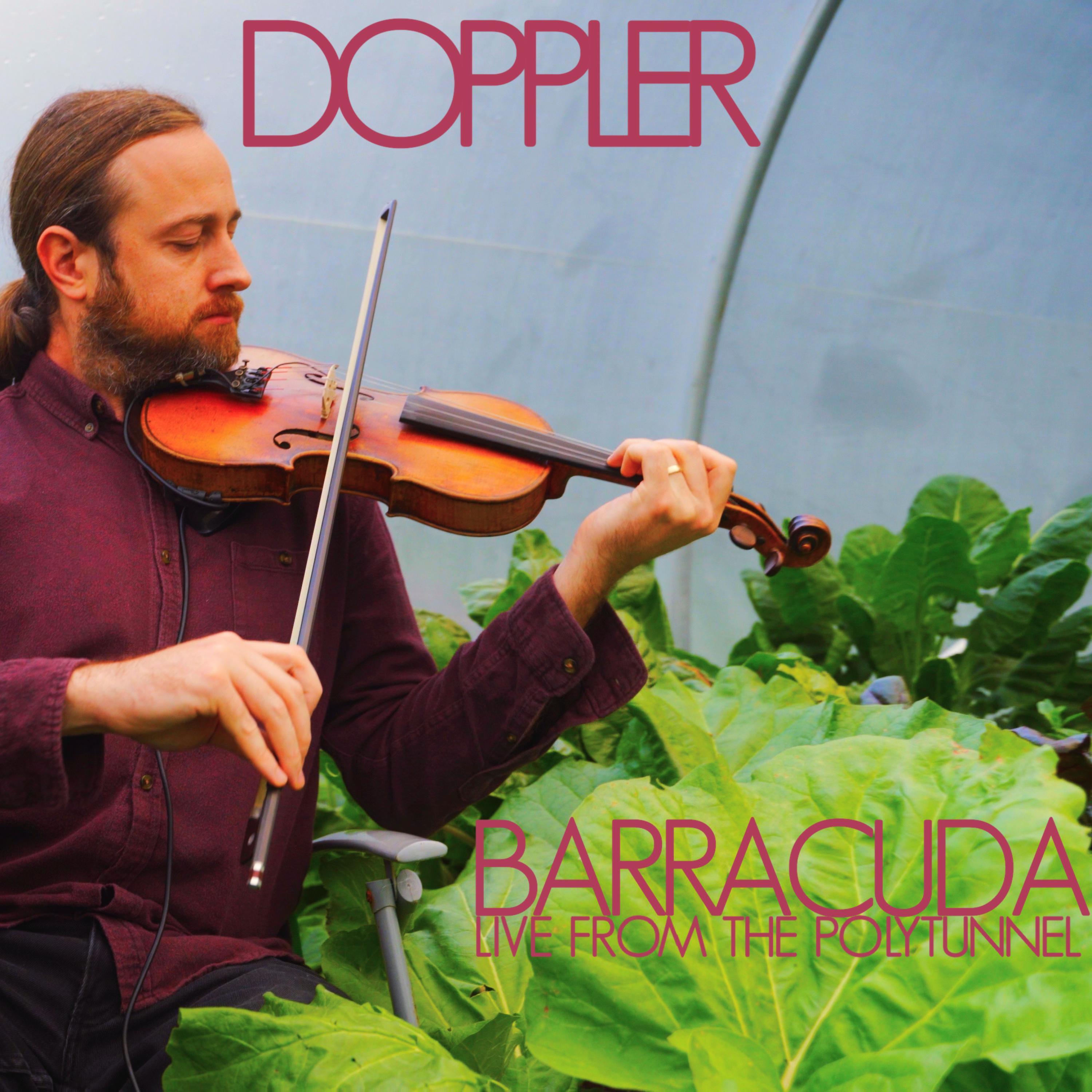 Barracuda (Live from the Polytunnel)