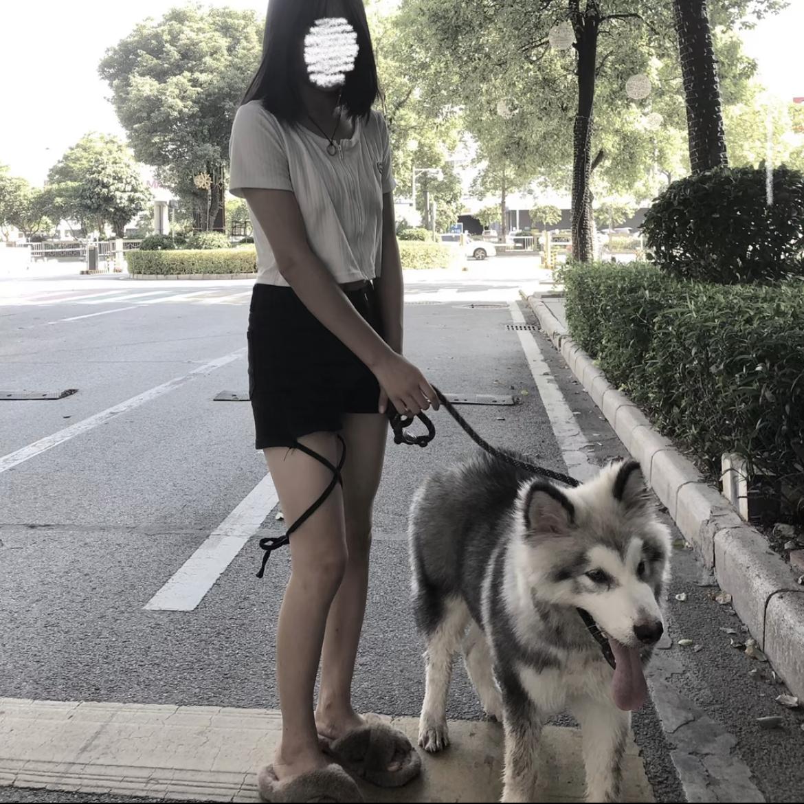 最后的人