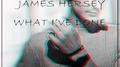 What I've Done (Yako Remix) 专辑