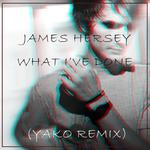 What I've Done (Yako Remix) 专辑