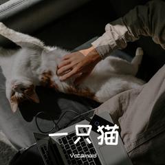 一只猫