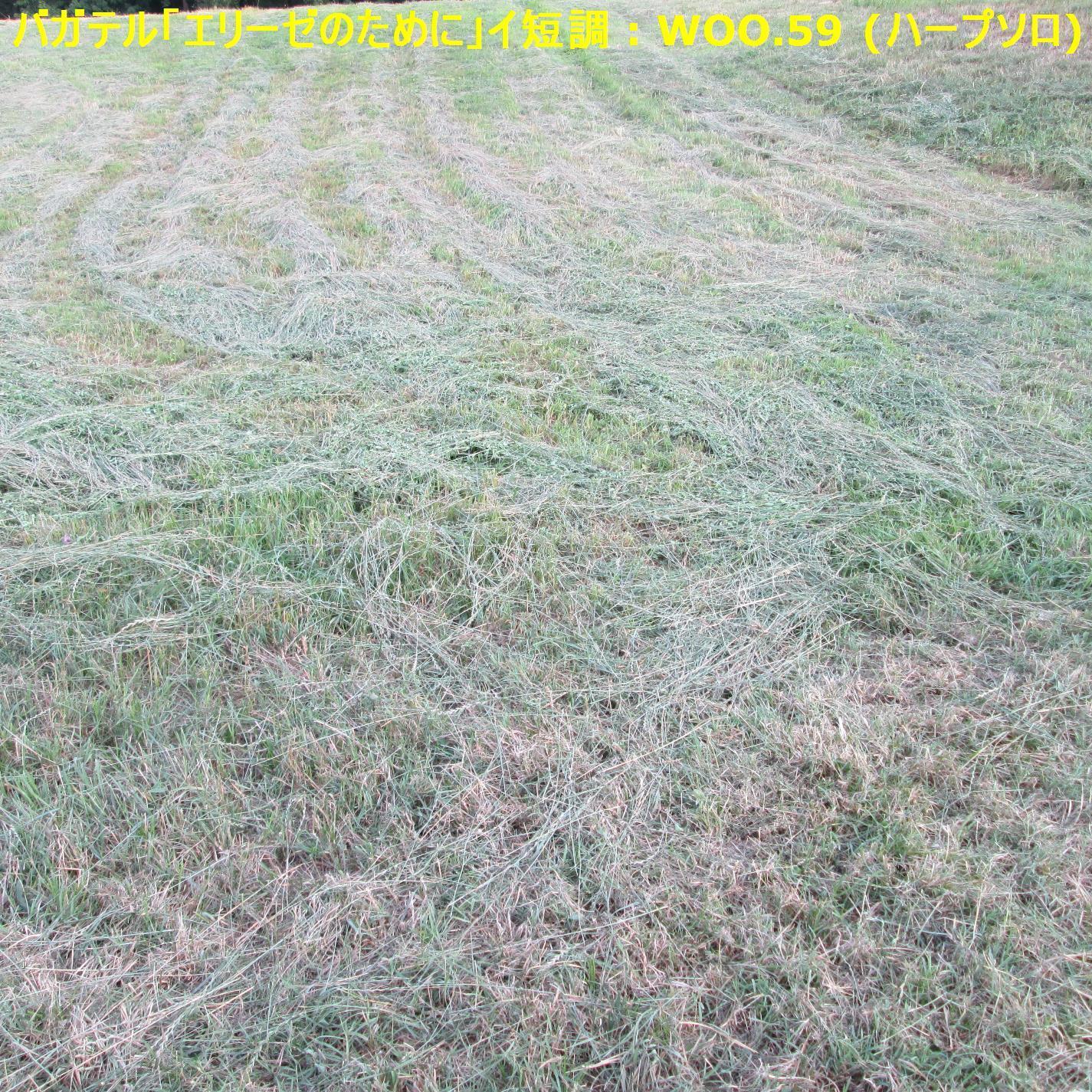 ????????????????? : WoO.59 (??? - ??)