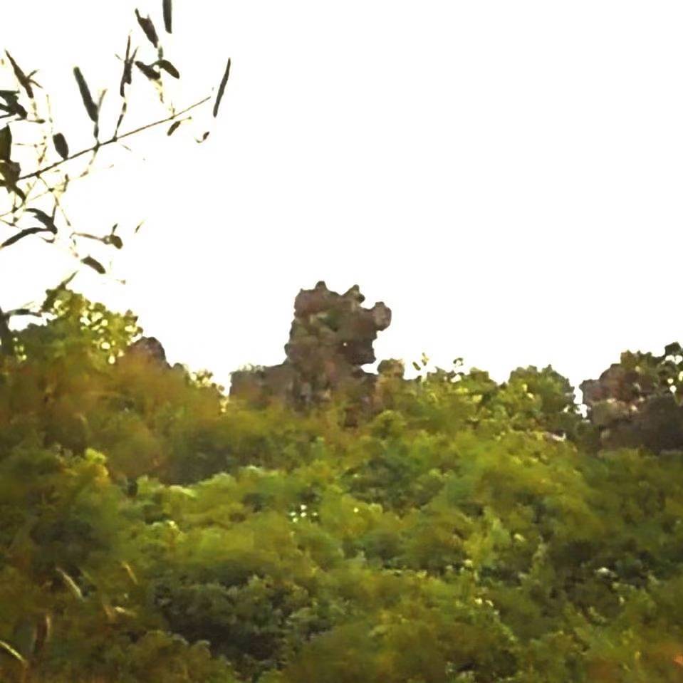 隔壁山村人（猛子）