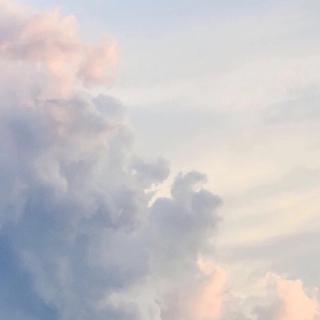 白鹤不会吻乌鸦.