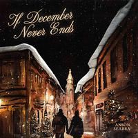 Anson Seabra - If December Never Ends (伴和声伴唱)伴奏